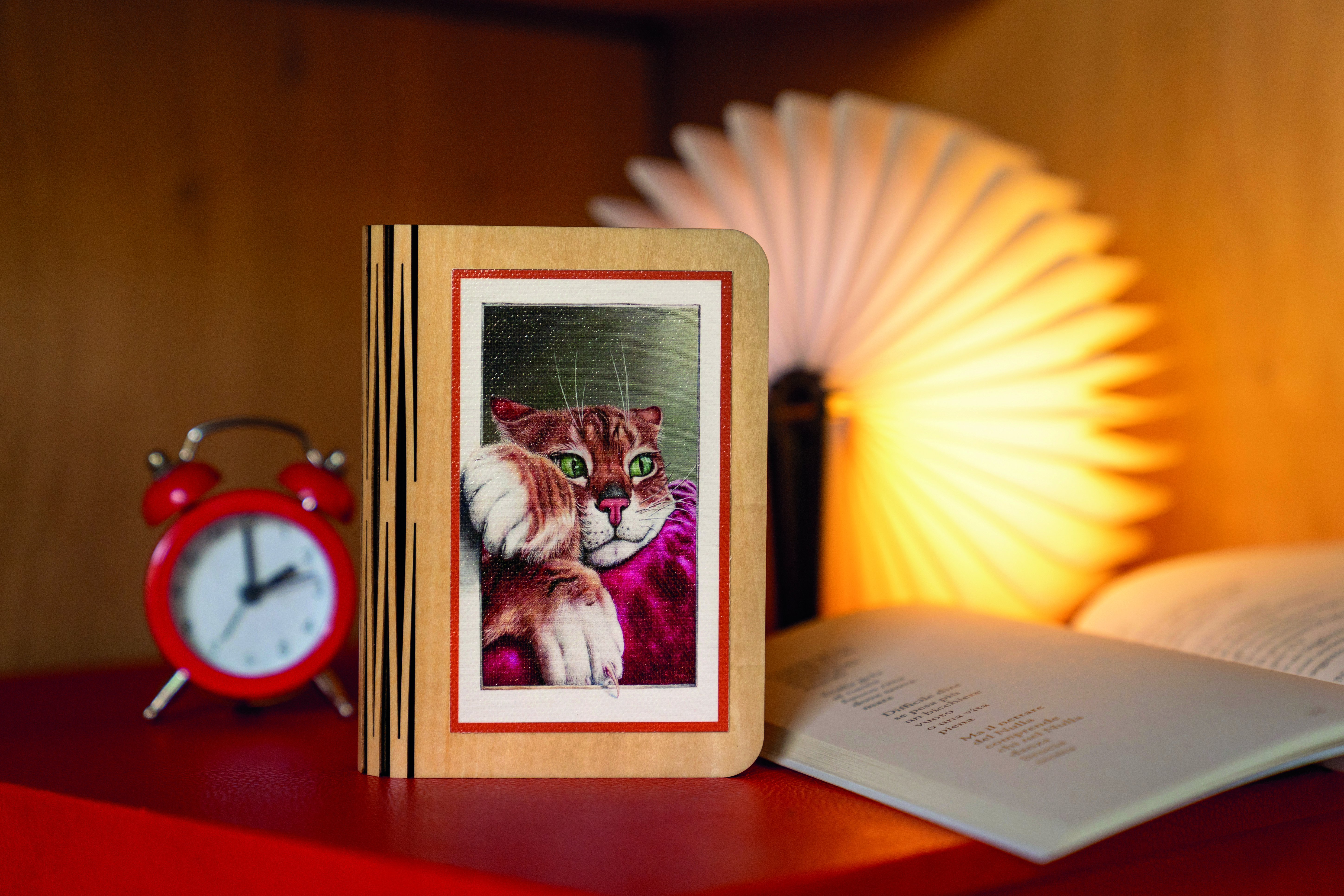 Lampada Libro mini Gatto Rosso