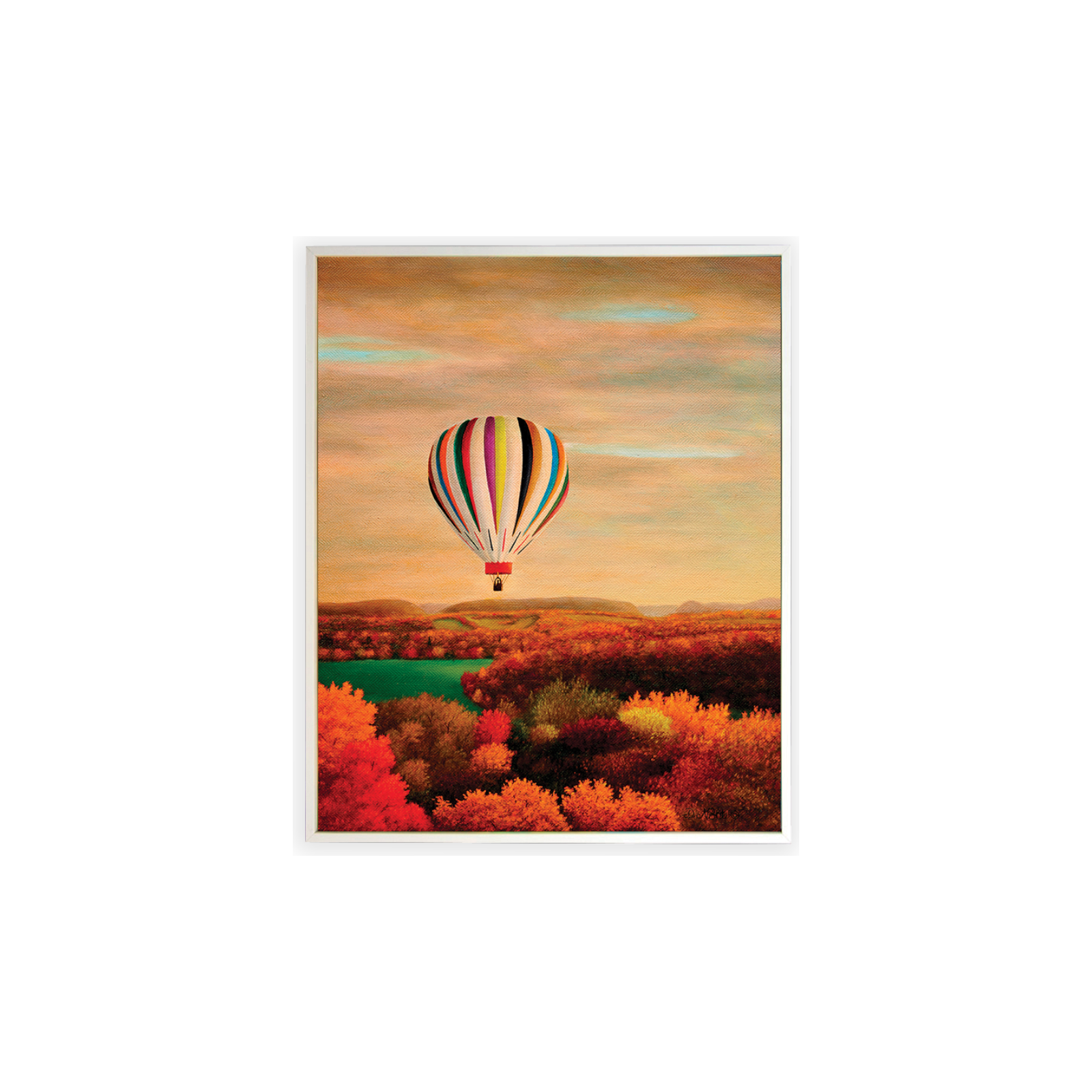 Quadro Mongolfiera colorata