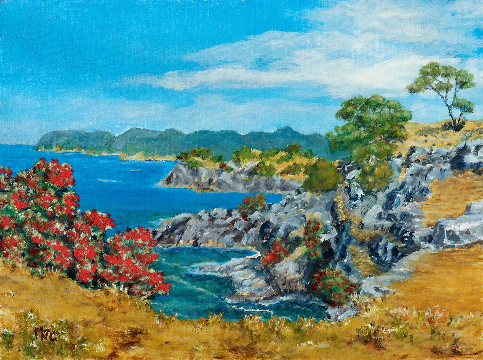 Vista panoramica sulla costa rocciosa con onde che si infrangono